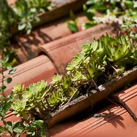 Giardino Segreto, In Centro Lägenhet Trieste