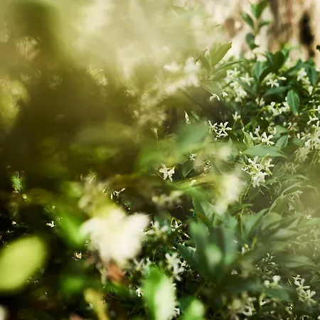 Giardino Segreto, In Centro Apartament Triest