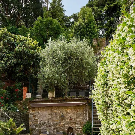 Giardino Segreto, In Centro Trieste