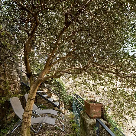 Giardino Segreto, In Centro * Triest